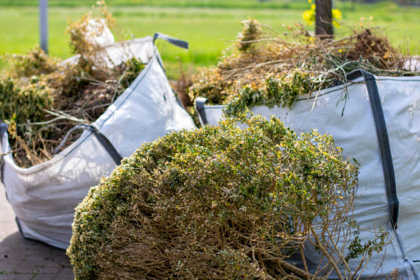 Best Construction Debris Removal  in Salida, CO